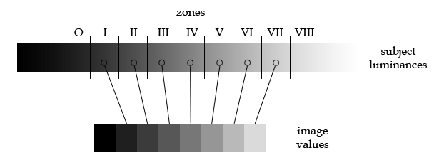 zone diagram